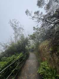 Where? Mist-ified!👻