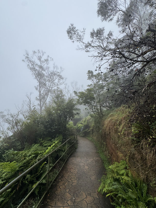 Where? Mist-ified!👻