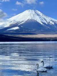 端午假期小旅行⛱️富士山三天兩夜自由行攻略🗻