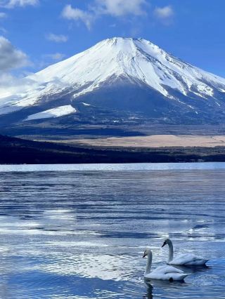 A 3-Day, 2-Night DIY Travel Guide to Mount Fuji for the Dragon Boat Festival Holiday