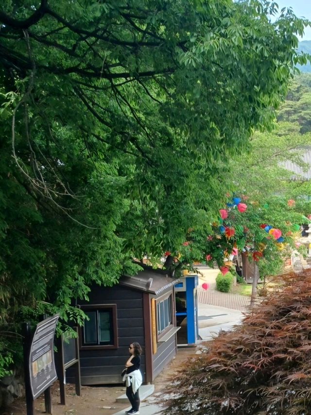 자연과 전통이 어우러진 동화사 여행