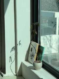 😌조용한 분위기의 카페 Cafe*흰그루 