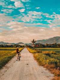 Golden Hour on Two Wheels: Evening Cycling in Balik Pulau’s Paddy Fields