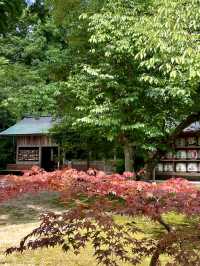 A Day of Calm & History in Hyogo – Exploring Izushi