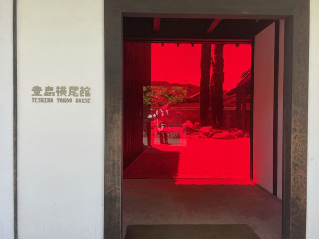 建築とアートに触れる🎶カラフルで独特な世界観の美術館🫣🌈🎨