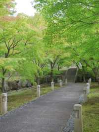 【行く前にこれ見て】名勝庭園を彩る翠の絨毯！心静かに新緑の美を味わう🌿✨※周辺観光情報付