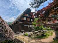 歧阜 | 白川鄉合掌村，世界遺產的童話小鎮。