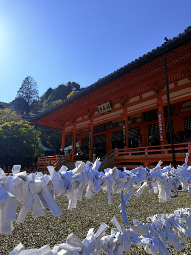 大阪｜被達摩包圍的勝尾寺 鐮倉幕府起將軍都要來求勝的千年古寺