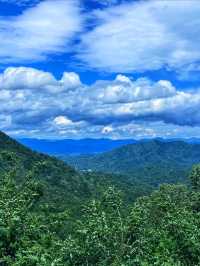 Thru-Hiking the Appalachian Trail: 2,190 Miles of Pure Adventure