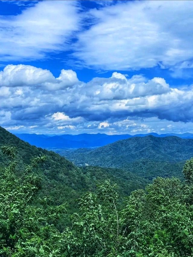 Thru-Hiking the Appalachian Trail: 2,190 Miles of Pure Adventure