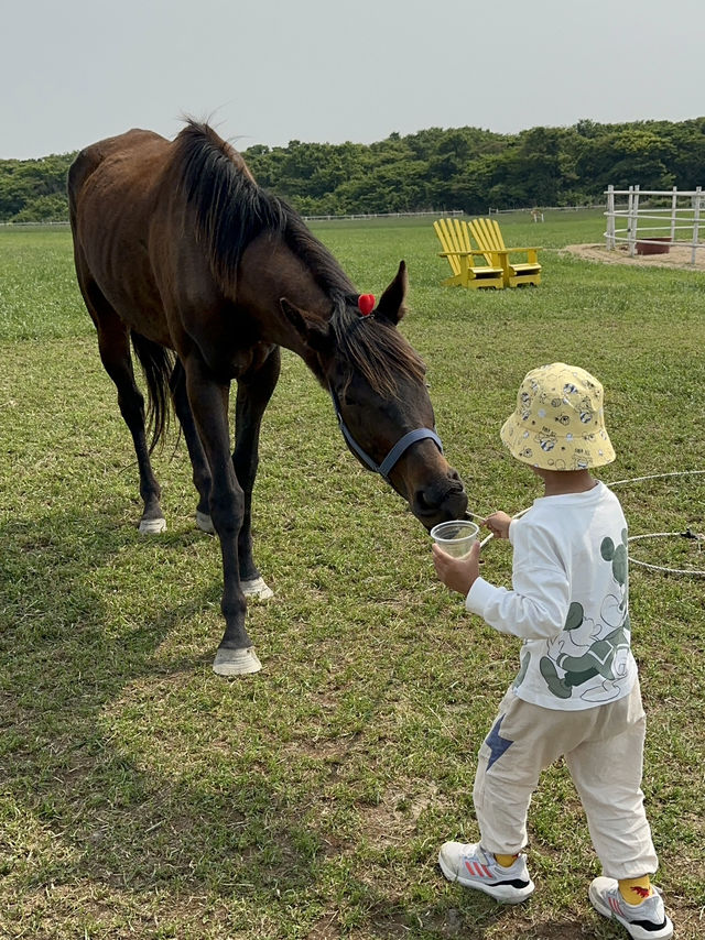 濟州島 Ecoland 生態主題樂園