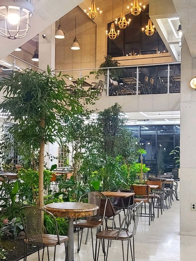 강릉 늦게까지 문여는 대형카페 💚허스크밀