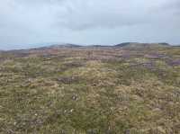 Velika planina
