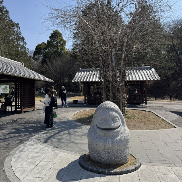 돈도코 숲