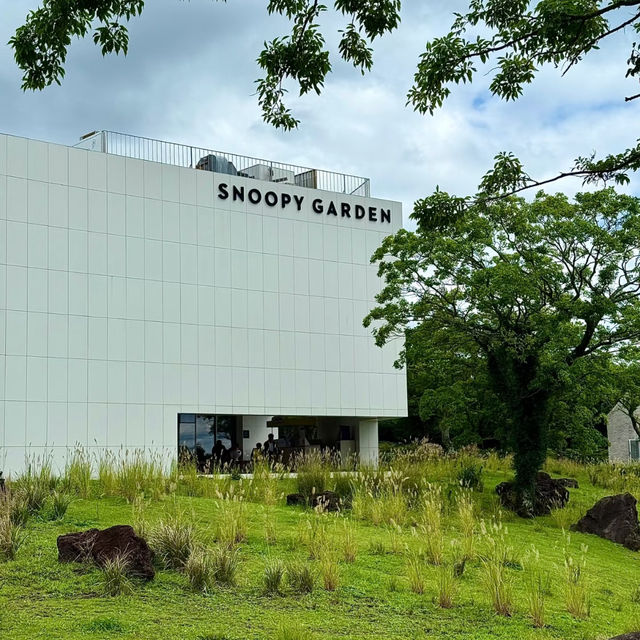 Jeju | If You Loved Snoopy as a Kid — This Is a Must-Visit! 🐶🌿