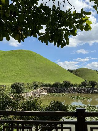 Walking Through a Millennium in Gyeongju