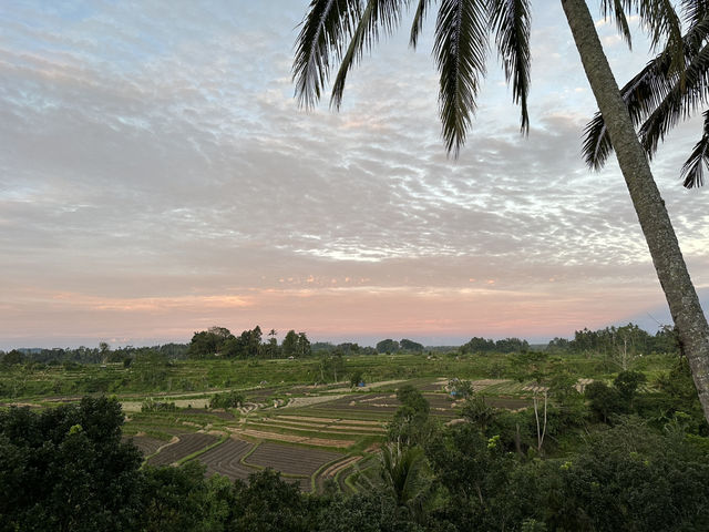Unique Stay at Magic Hill Bali – Avatar House