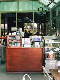 Grindsize Evergreen CNX ☕🌾