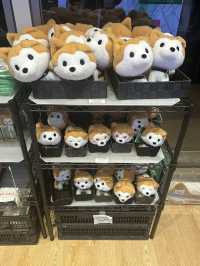 東京之旅