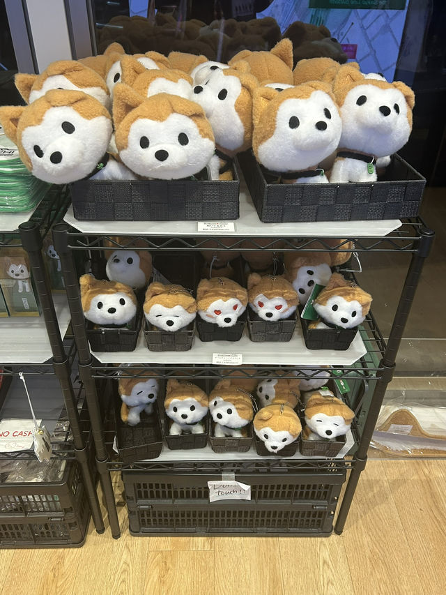 東京之旅