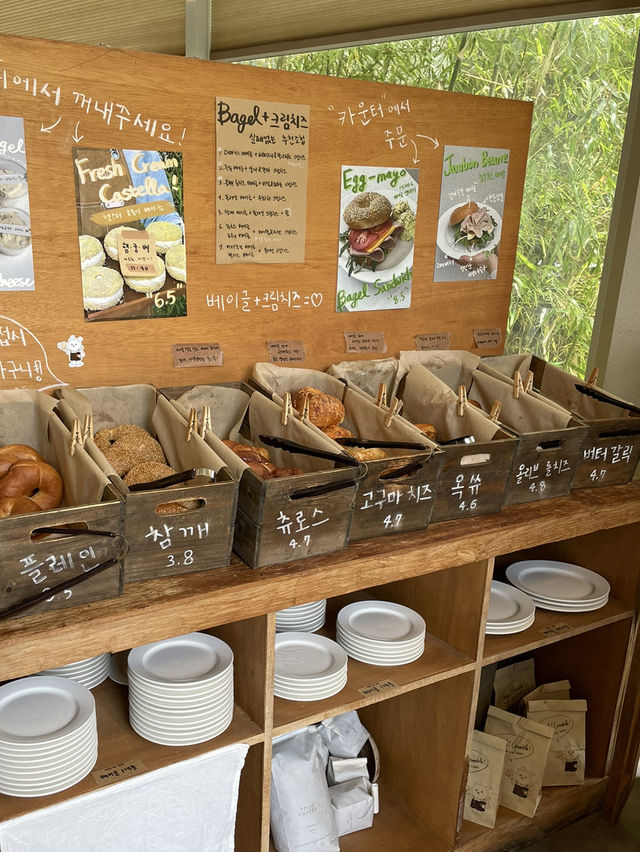 대전 베이글맛집 투드커피🥯☕️🤍