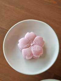 🍭온화사계_삼송역 창릉천 산책길 테라스있는 카페