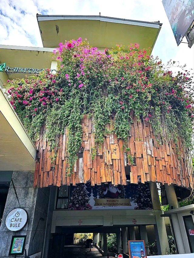 "Urban Oasis Amidst Bali's Bustle"