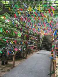 【福岡】かえる寺を巡る旅