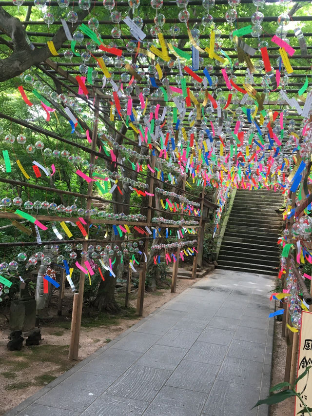 【福岡】かえる寺を巡る旅