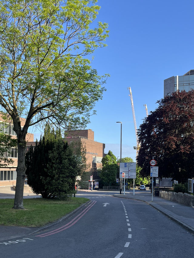 Exploring the foods in Sutton, London