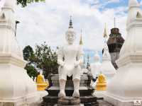 วัดป่าพรหมนิมิต