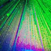 Walking Through Light: A Surreal Escape at teamLab Planets Tokyo 🇯🇵
