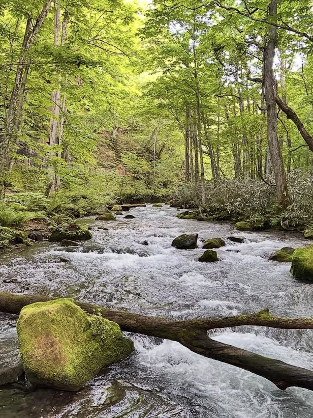 📍【青森・十和田湖】神秘の湖とアートが響き合う、静寂と感動の地