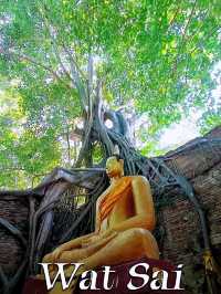 วัดไทร อินบุรี โบสถ์เก่าแก่ริมแม่น้ำเจ้าพระยา