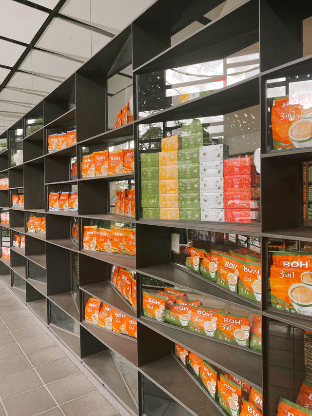Sip, Shop & Savor: The BOH Tea Boutique Experience