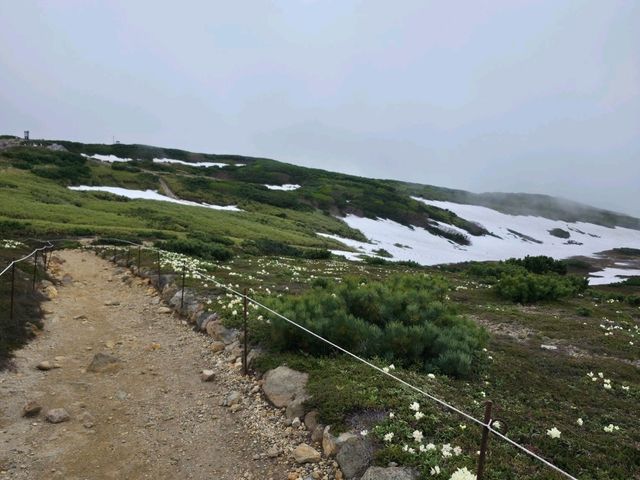 大雪山國立公園