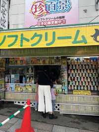 【山口】岩国に行くならここに行ってみて
