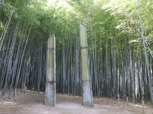 🌳부산에서 제일 아름다운 힐링 숲