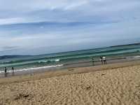Apollo Bay: A Perfect Summer Getaway on the Great Ocean Road