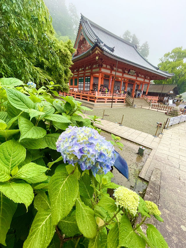 📍 Katsuo-ji – วัดดารุมะแห่งชัยชนะในโอซาก้า⛩️