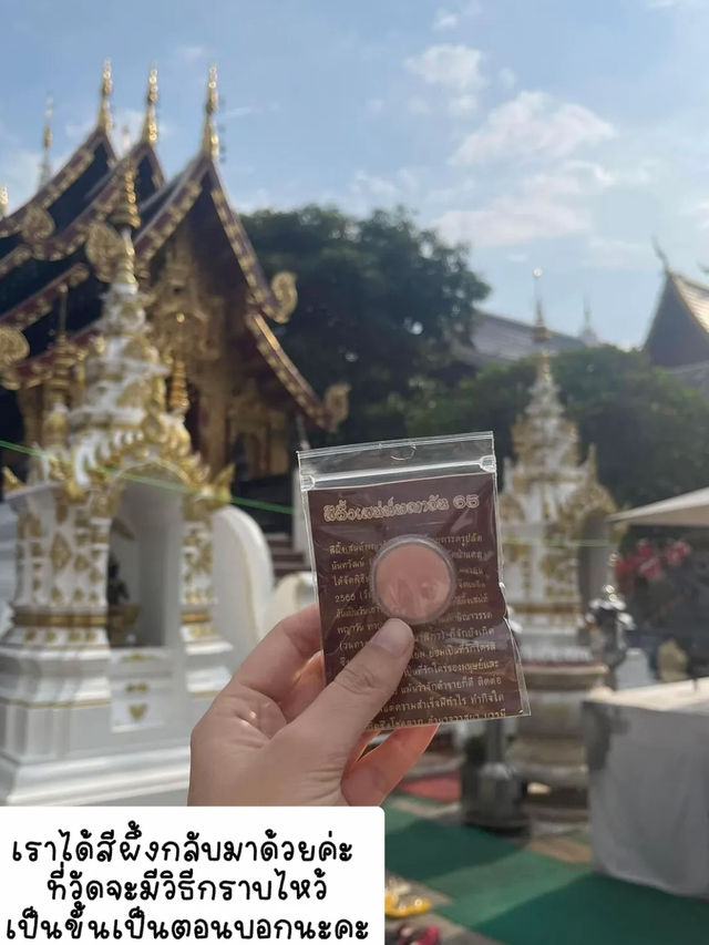 มูยังไงให้ได้เงินล้าน 💸