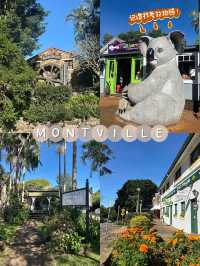 Sunshine Coast Escape: One-Day Trip to Montville & Mooloolaba🌿🌅