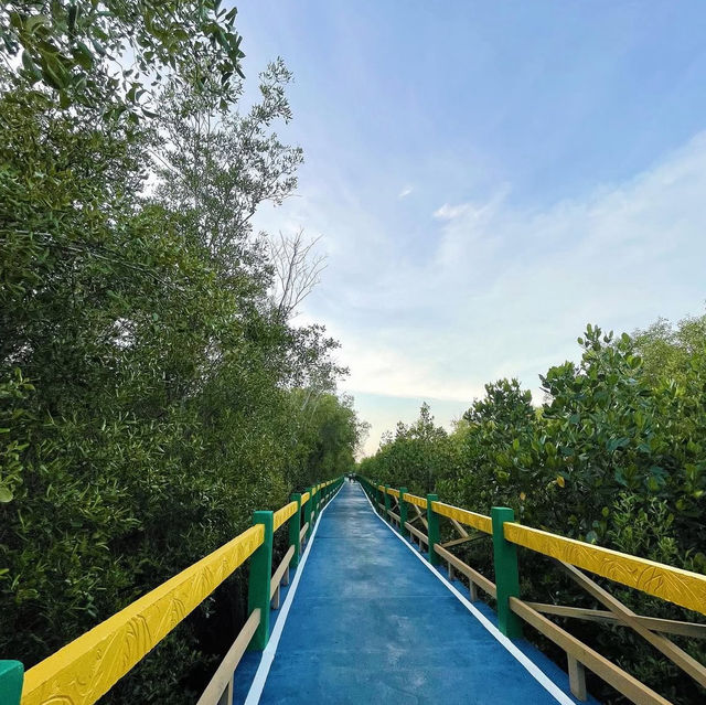 ปั่นจักรยานเที่ยว 🚲สะพานรักษ์ทะเล 📍บางขุนเทียน✨