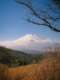 【富士山で心震える絶景旅】日本一の山で自然と歴史に触れる🌄🗻