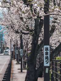 ♨️果実の里で癒しの湯旅。石和温泉郷で心も体もととのう休日🍇