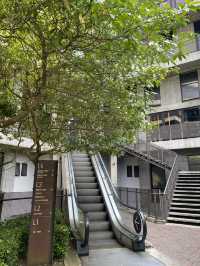 Lost in Aesthetic Jungle: My Soft-Urban Escape at Tamarind Square, Cyberjaya