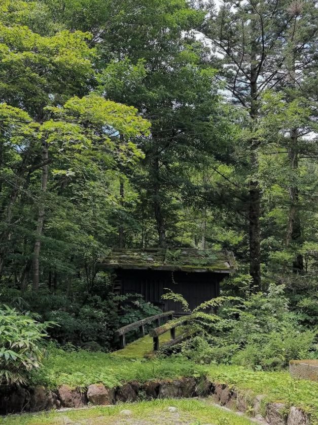 【森に包まれる癒しの湯】ひらゆの森で心と体をリセット