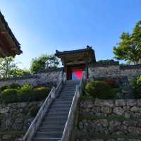 Exciting 6-hours trip to Gyeongju city