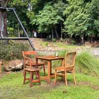 Montra Cafe – นครนายก คาเฟ่ในสวนเขียวขจี