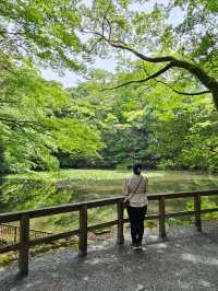 伊勢神宮洗滌心靈之旅，與自然與信仰同行⛩️🌿
